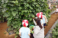 適切な環境のなかで調和的発達を培う